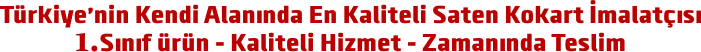 10 Kas�m Saten Yaka Kokart� - YEN� �ALI�MALAR