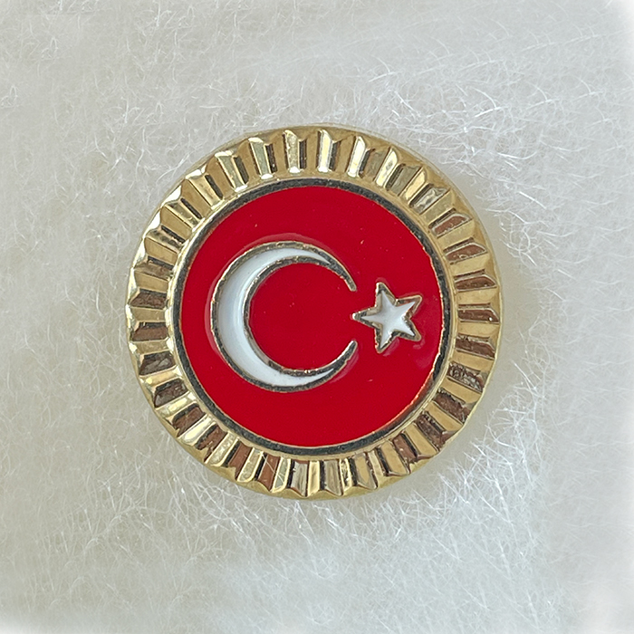 TBR46 T�rk Bayra�� Rozeti Meclis Modeli